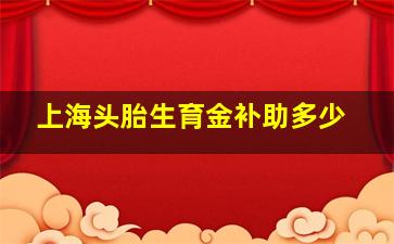 上海头胎生育金补助多少