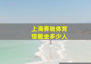 上海奔驰体育馆能坐多少人