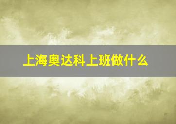 上海奥达科上班做什么