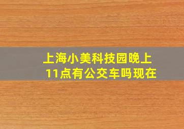 上海小美科技园晚上11点有公交车吗现在