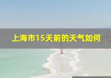 上海市15天前的天气如何