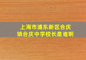 上海市浦东新区合庆镇合庆中学校长是谁啊