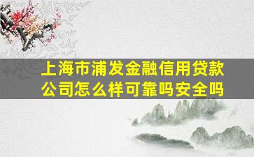 上海市浦发金融信用贷款公司怎么样可靠吗安全吗