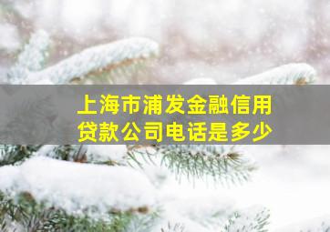 上海市浦发金融信用贷款公司电话是多少