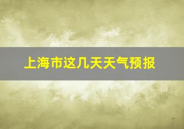 上海市这几天天气预报