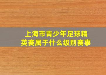 上海市青少年足球精英赛属于什么级别赛事