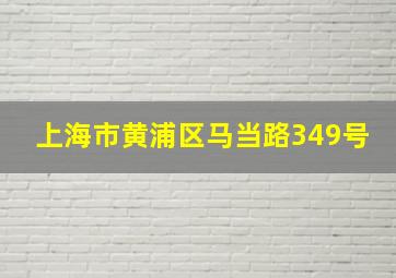 上海市黄浦区马当路349号