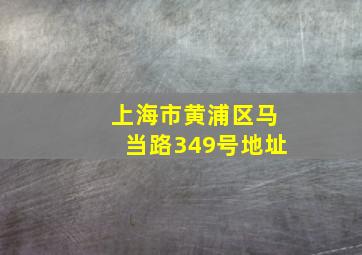 上海市黄浦区马当路349号地址