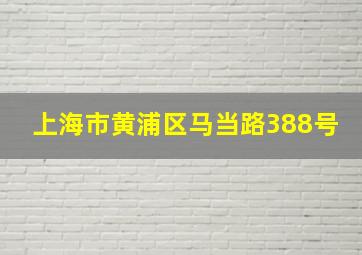 上海市黄浦区马当路388号