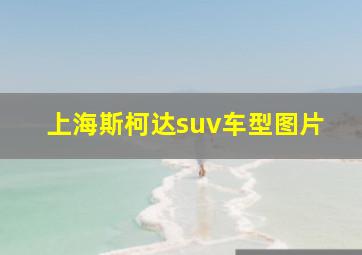 上海斯柯达suv车型图片