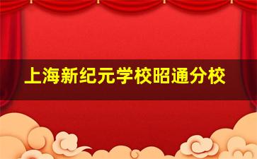 上海新纪元学校昭通分校