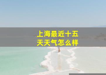 上海最近十五天天气怎么样