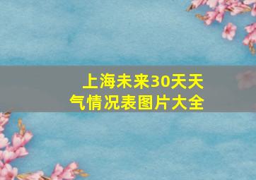 上海未来30天天气情况表图片大全