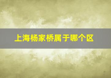 上海杨家桥属于哪个区