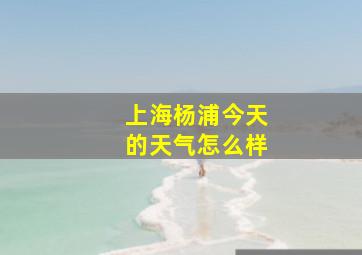 上海杨浦今天的天气怎么样