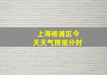 上海杨浦区今天天气预报分时