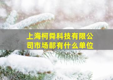 上海柯舜科技有限公司市场部有什么单位