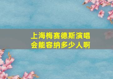 上海梅赛德斯演唱会能容纳多少人啊