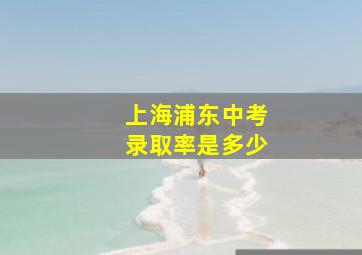 上海浦东中考录取率是多少