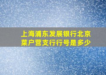 上海浦东发展银行北京菜户营支行行号是多少