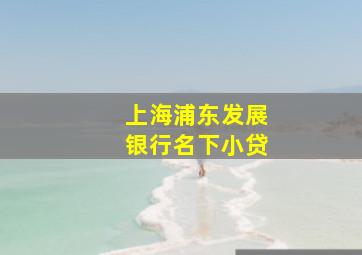 上海浦东发展银行名下小贷