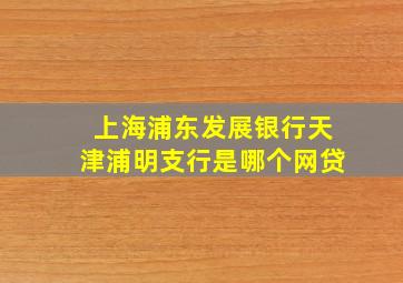 上海浦东发展银行天津浦明支行是哪个网贷