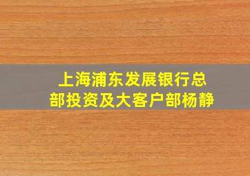 上海浦东发展银行总部投资及大客户部杨静