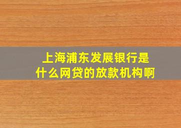 上海浦东发展银行是什么网贷的放款机构啊