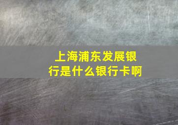 上海浦东发展银行是什么银行卡啊