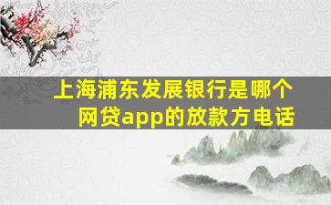 上海浦东发展银行是哪个网贷app的放款方电话