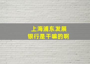 上海浦东发展银行是干嘛的啊