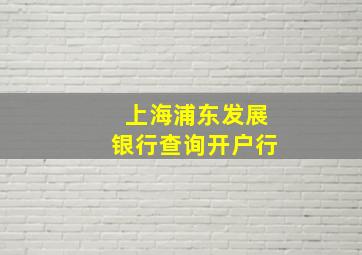 上海浦东发展银行查询开户行