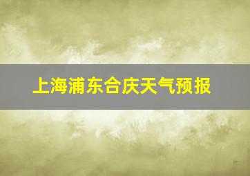 上海浦东合庆天气预报