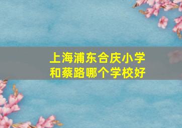 上海浦东合庆小学和蔡路哪个学校好