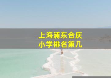 上海浦东合庆小学排名第几