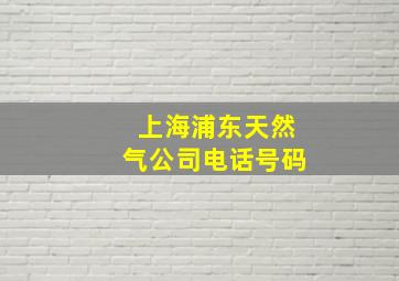 上海浦东天然气公司电话号码