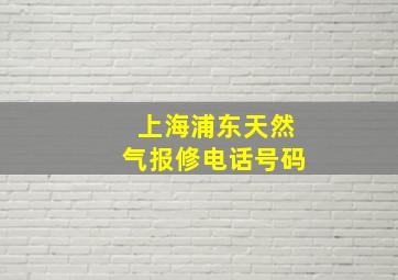 上海浦东天然气报修电话号码