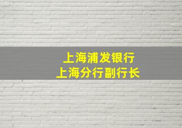 上海浦发银行上海分行副行长