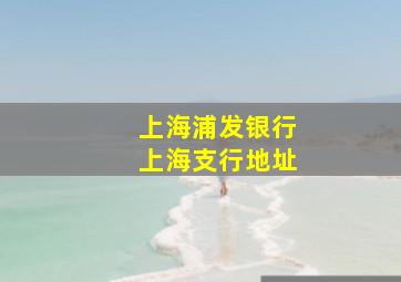 上海浦发银行上海支行地址