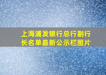 上海浦发银行总行副行长名单最新公示栏图片