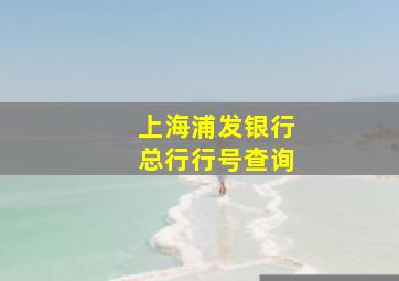 上海浦发银行总行行号查询