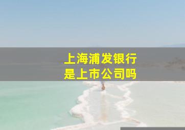 上海浦发银行是上市公司吗