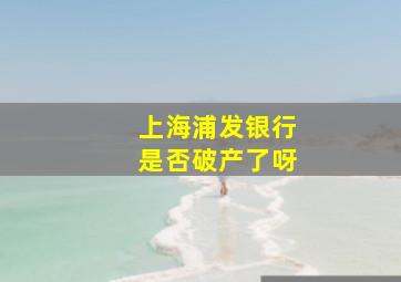 上海浦发银行是否破产了呀