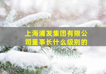 上海浦发集团有限公司董事长什么级别的