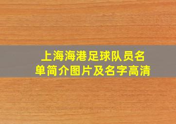 上海海港足球队员名单简介图片及名字高清