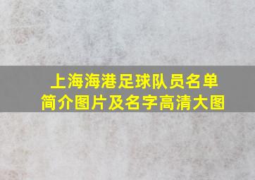 上海海港足球队员名单简介图片及名字高清大图