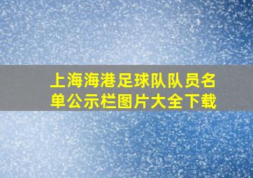 上海海港足球队队员名单公示栏图片大全下载