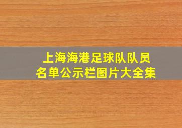 上海海港足球队队员名单公示栏图片大全集