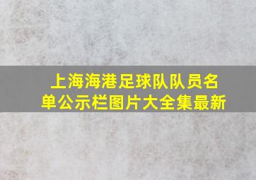 上海海港足球队队员名单公示栏图片大全集最新