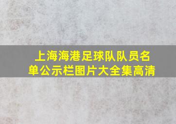 上海海港足球队队员名单公示栏图片大全集高清